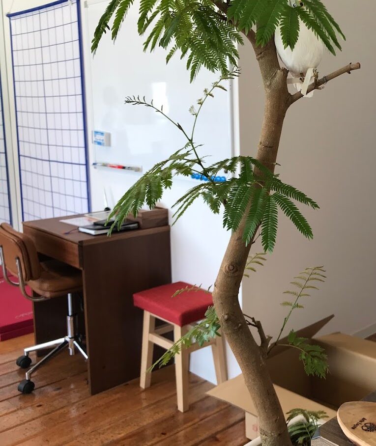 Hospital Image